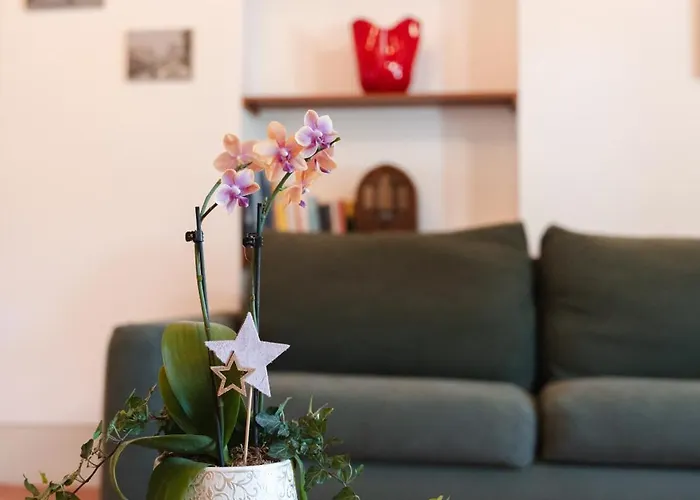 Guest house Corte Castello Affi